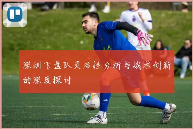 深圳飞盘队灵活性分析与战术创新的深度探讨