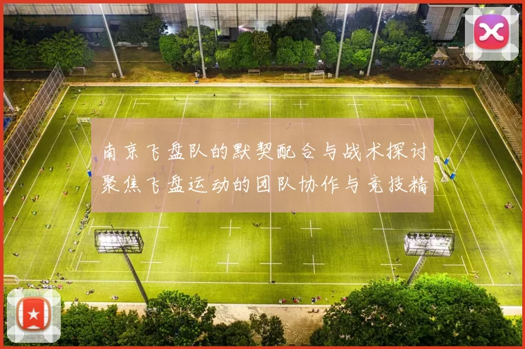 南京飞盘队的默契配合与战术探讨聚焦飞盘运动的团队协作与竞技精神