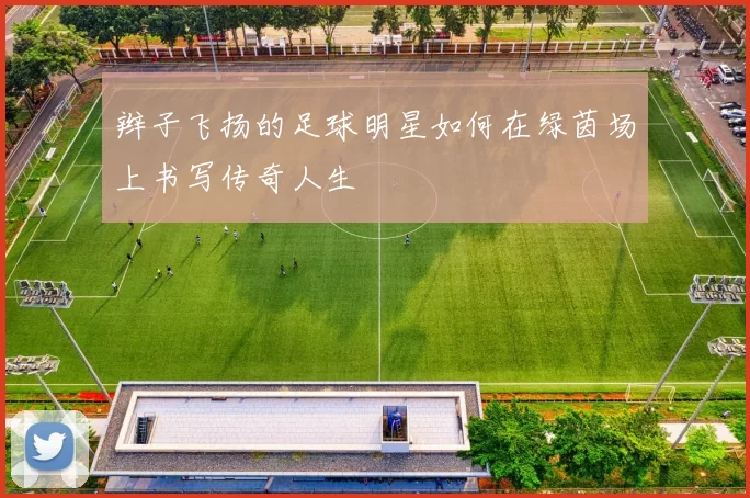 辫子飞扬的足球明星如何在绿茵场上书写传奇人生