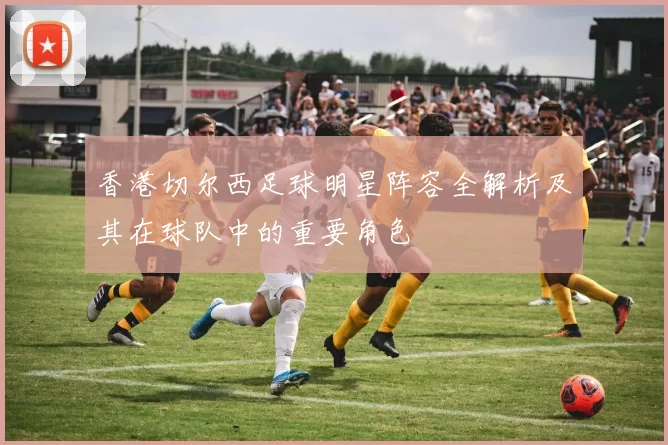 香港切尔西足球明星阵容全解析及其在球队中的重要角色