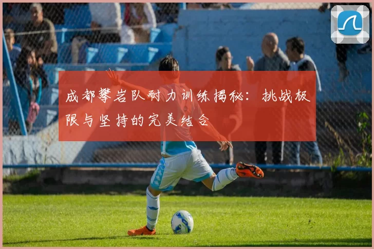 成都攀岩队耐力训练揭秘：挑战极限与坚持的完美结合
