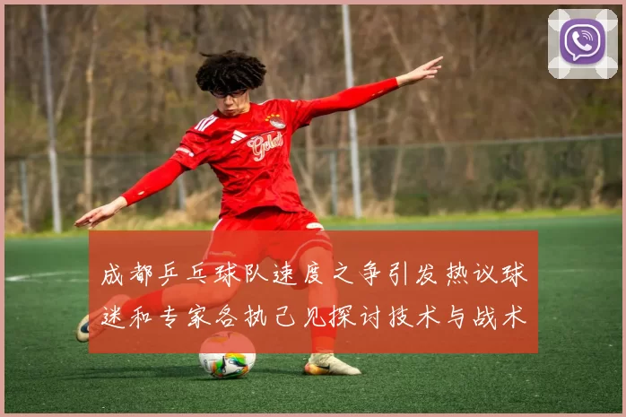 成都乒乓球队速度之争引发热议球迷和专家各执己见探讨技术与战术