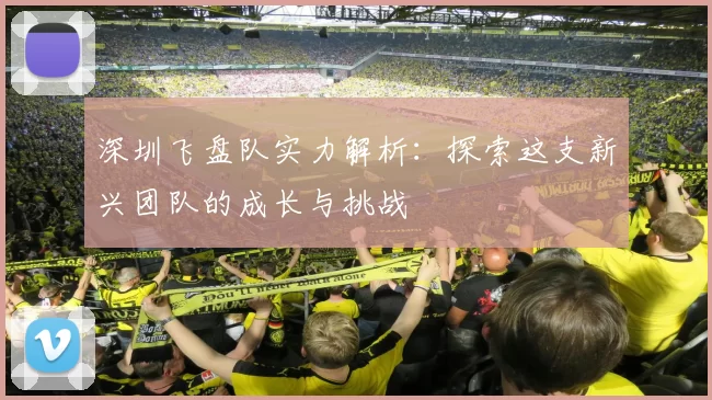 深圳飞盘队实力解析：探索这支新兴团队的成长与挑战