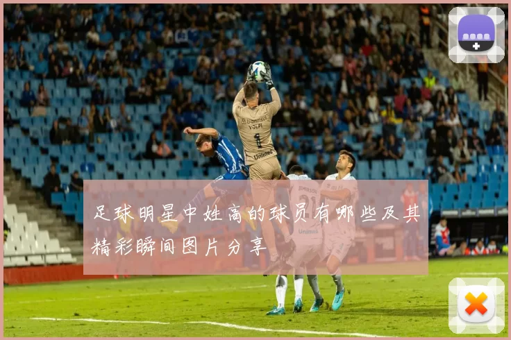 足球明星中姓高的球员有哪些及其精彩瞬间图片分享