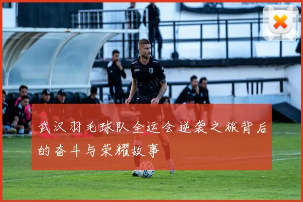 武汉羽毛球队全运会逆袭之旅背后的奋斗与荣耀故事