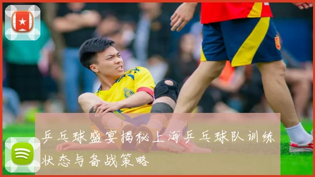 乒乓球盛宴揭秘上海乒乓球队训练状态与备战策略