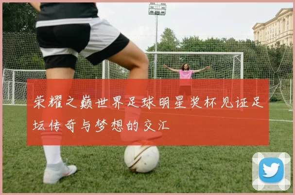 荣耀之巅世界足球明星奖杯见证足坛传奇与梦想的交汇