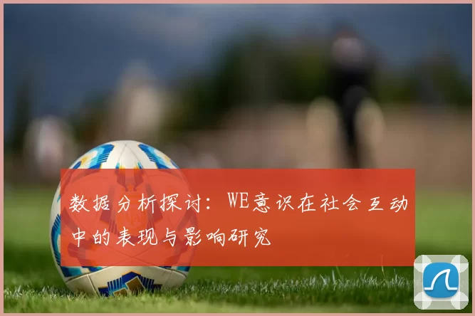 数据分析探讨：WE意识在社会互动中的表现与影响研究