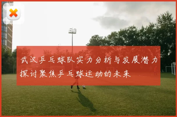 武汉乒乓球队实力分析与发展潜力探讨聚焦乒乓球运动的未来