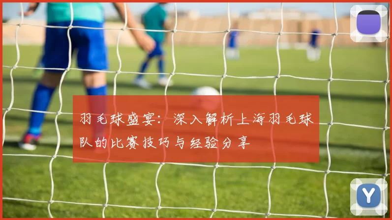 羽毛球盛宴：深入解析上海羽毛球队的比赛技巧与经验分享