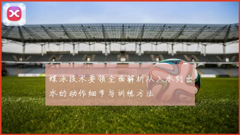 蝶泳技术要领全面解析从入水到出水的动作细节与训练方法