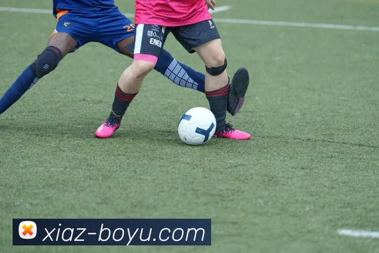 博鱼体育平台生态图