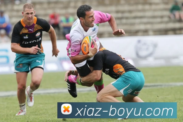 博鱼体育APP 封面图